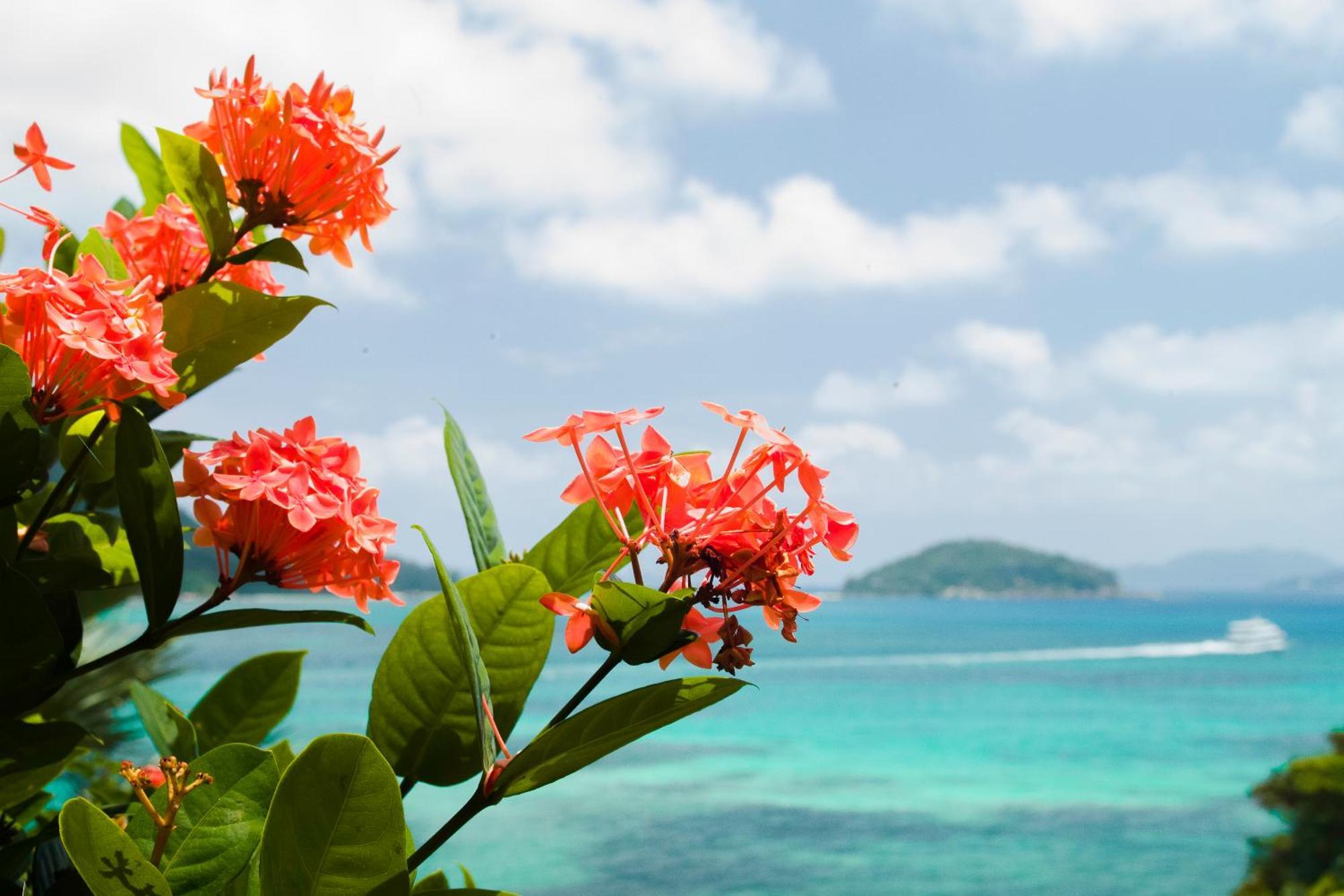 Chalets Cote Mer Baie Sainte Anne Ngoại thất bức ảnh